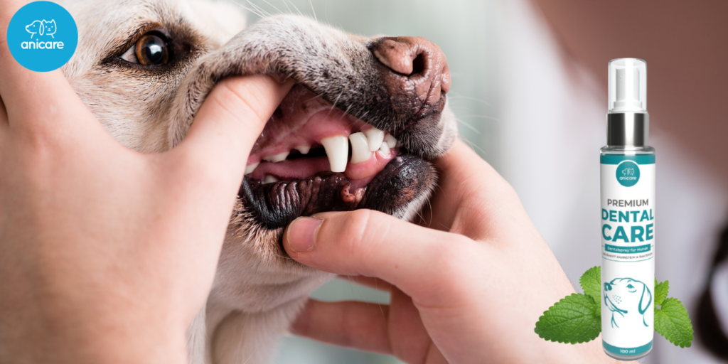 Das 1 Dentalspray für Hunde Anicare Premium Dental Care ++ Angebot